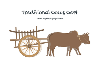 Myanmar Traditional Cows Cart